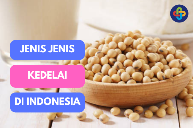 Jenis-jenis Kedelai: Dari Hitam Hingga Edamame, Keajaiban Varietas Kedelai